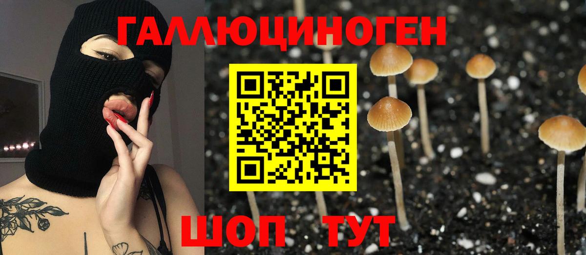 Галлюциногенные грибы GOLDEN TEACHER Красноармейск